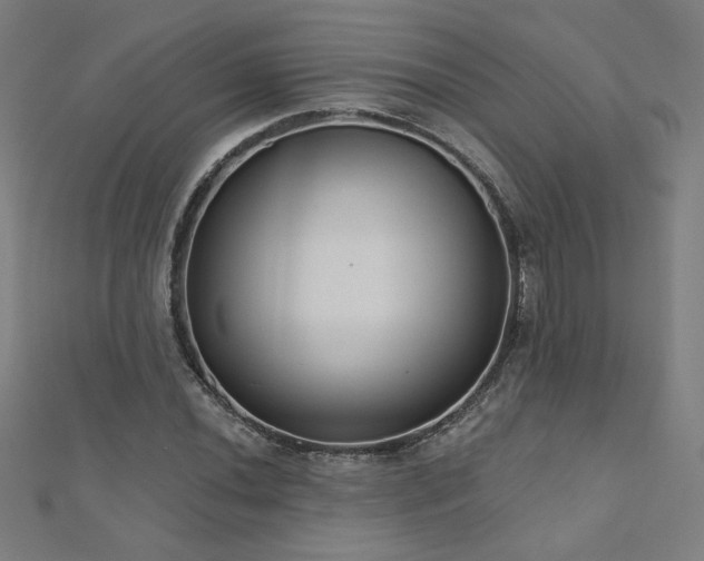 X0000112521020200908171350