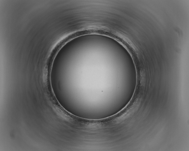 X0000112521021200908171350
