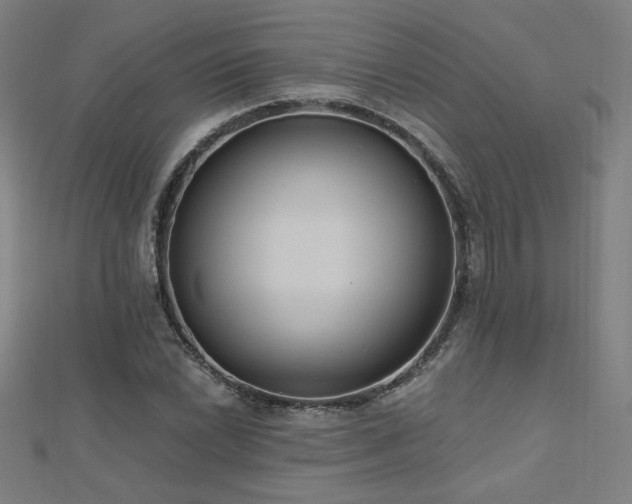 X0000112521022200908171350