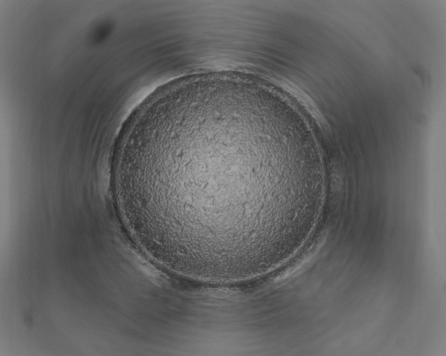 X0000112521023200908171350