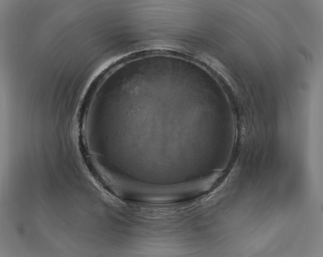 X0000112521024200908171350