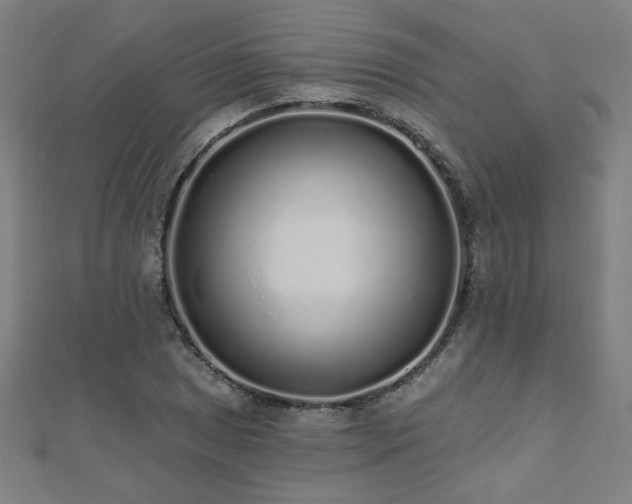 X0000112521025200908171350