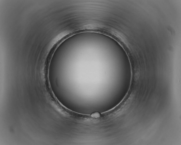 X0000112521026200908171350
