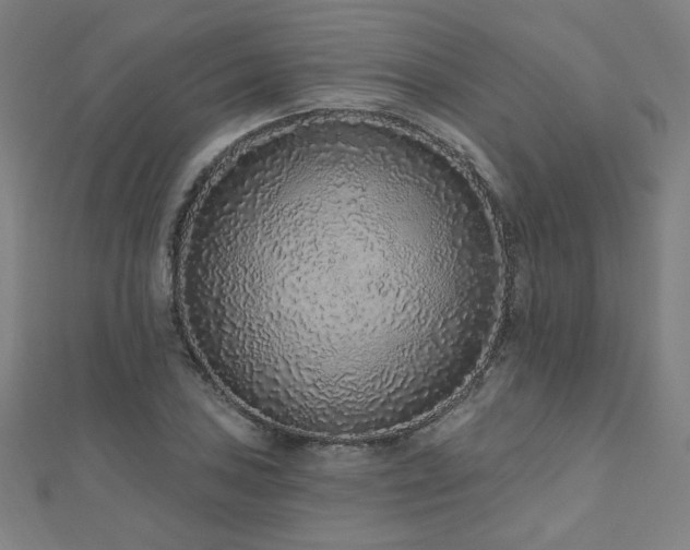X0000112521027200908171350