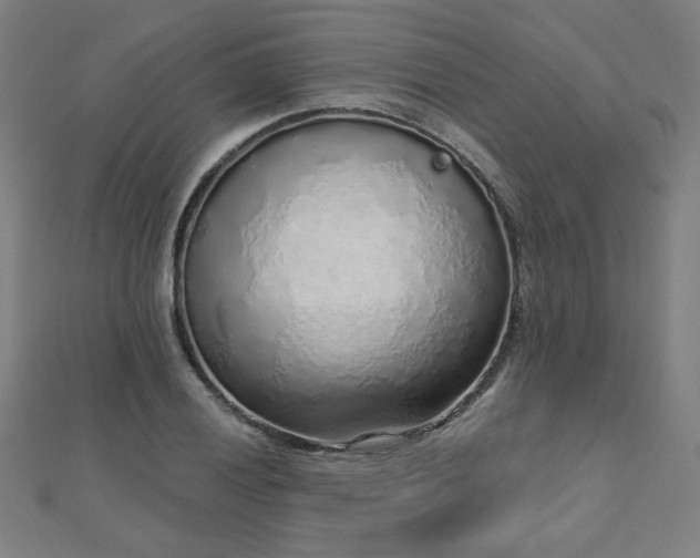 X0000112521028200908171350