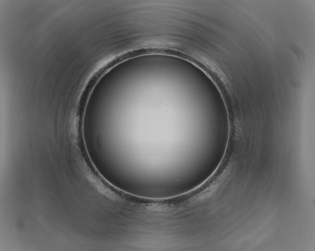 X0000112521029200908171350