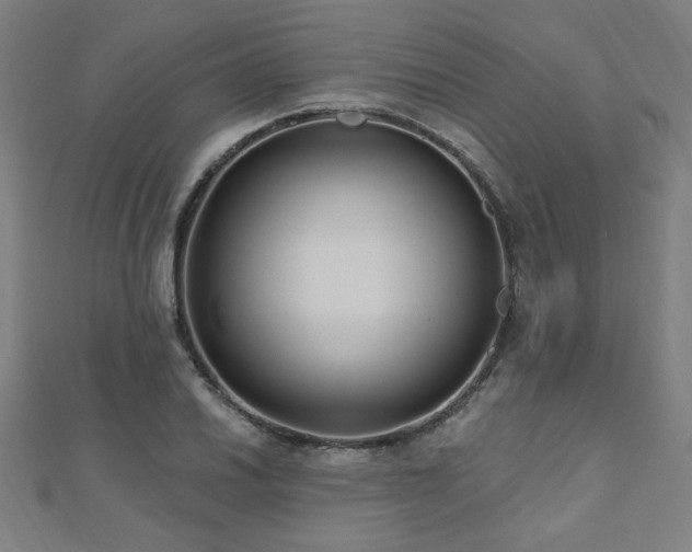 X0000112521030200908171350