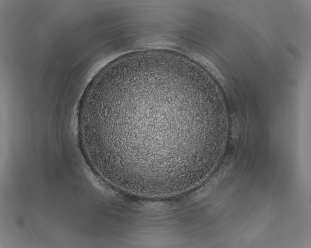 X0000112521031200908171350