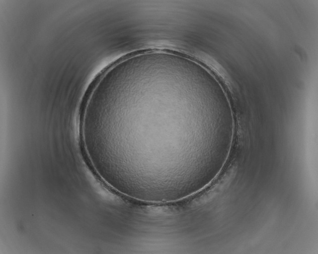 X0000112521032200908171350