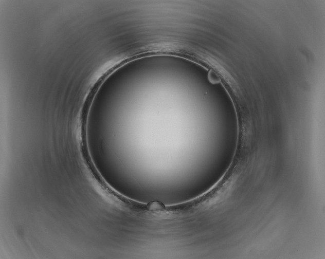 X0000112521034200908171350