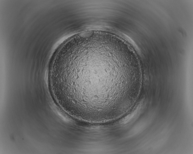 X0000112521035200908171350