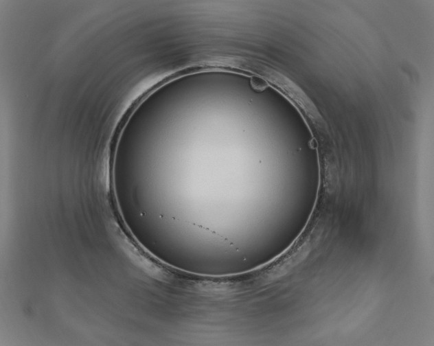 X0000112521036200908171350