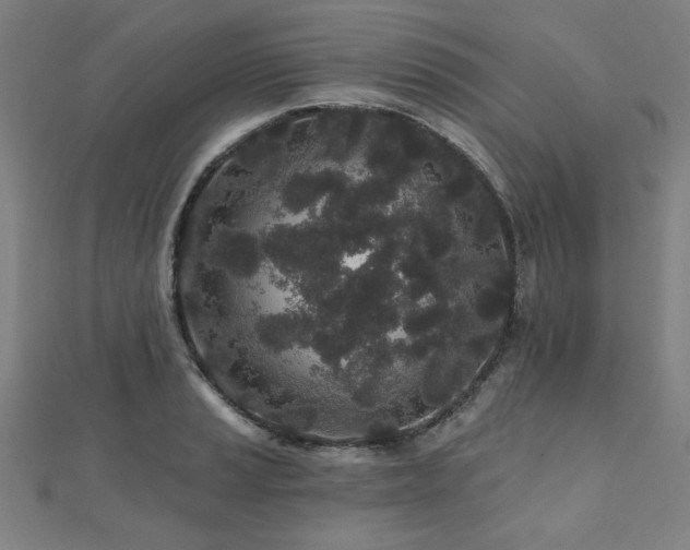 X0000112521037200908171350