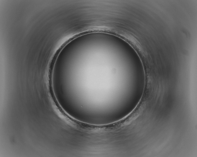 X0000112521038200908171350