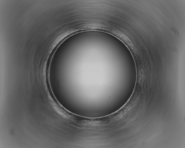 X0000112521039200908171350