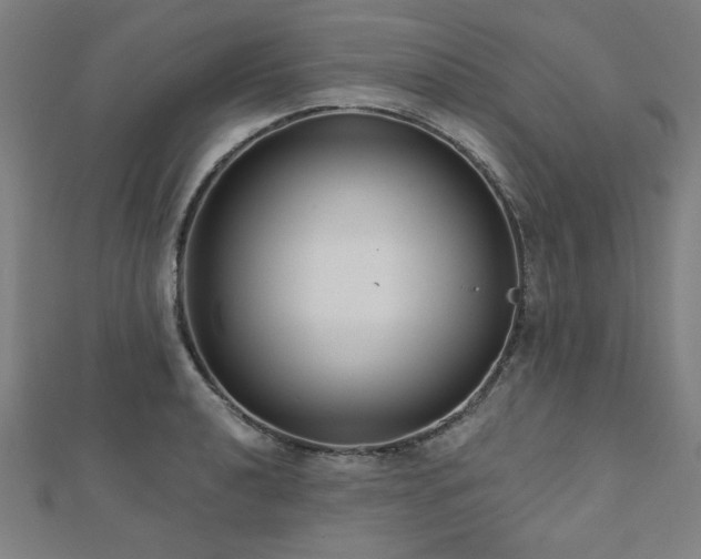 X0000112521040200908171350