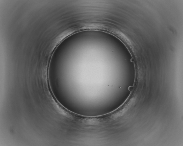 X0000112521041200908171350