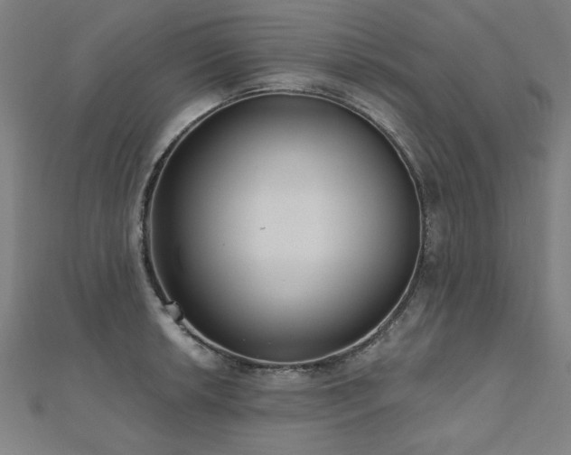 X0000112521042200908171350