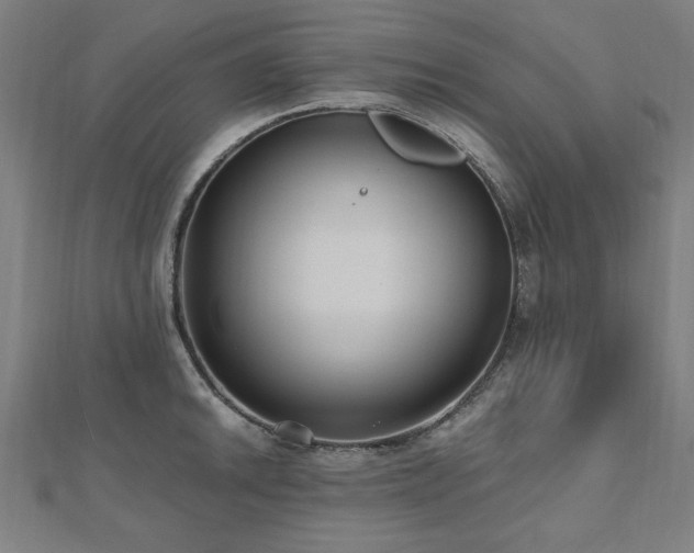 X0000112521046200908171350