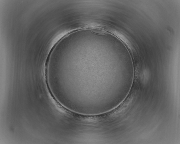 X0000112521047200908171350