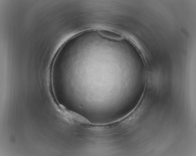 X0000112521048200908171350