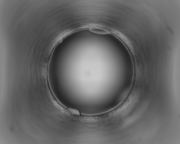 X0000112521049200908171350