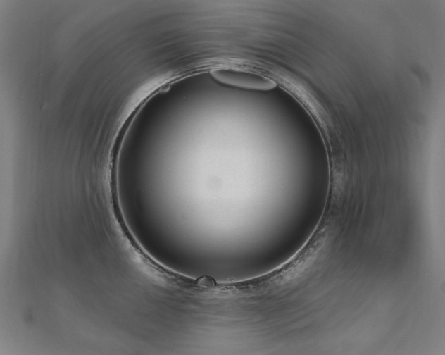 X0000112521050200908171350