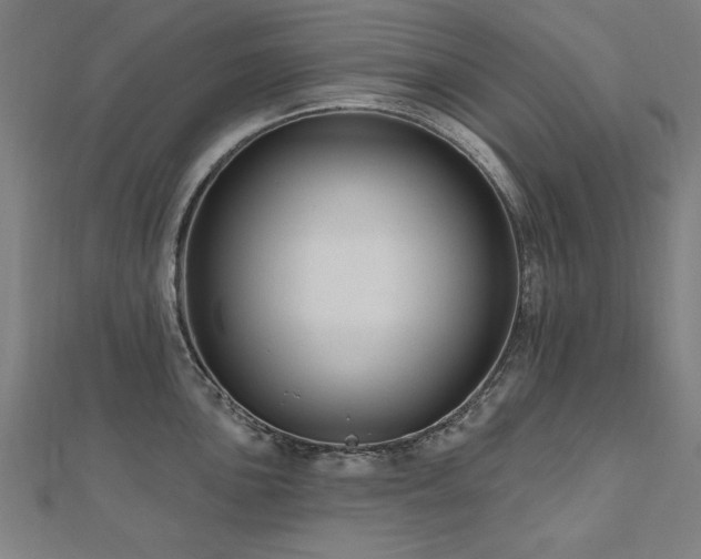 X0000112521051200908171350