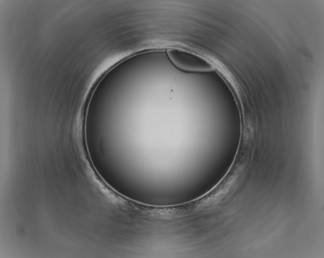 X0000112521053200908171350