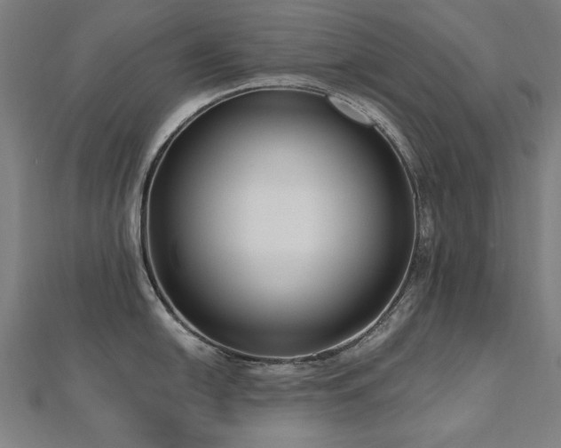 X0000112521054200908171350