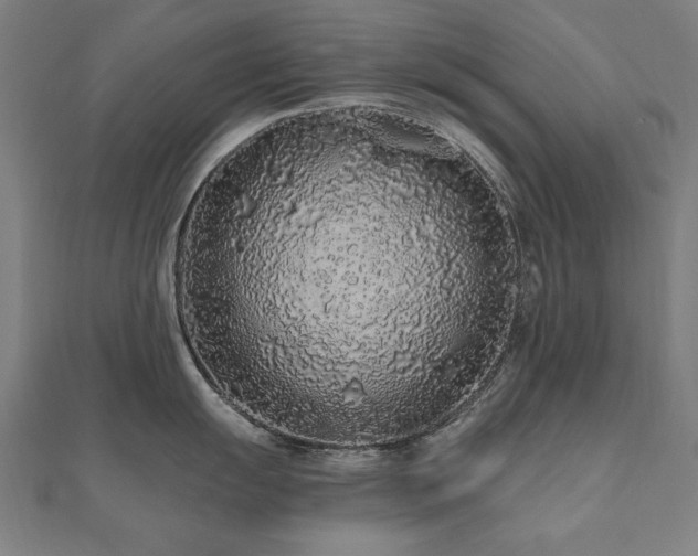 X0000112521055200908171350