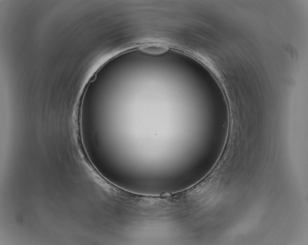 X0000112521056200908171350