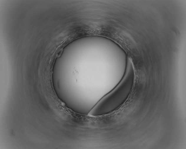 X0000112521057200908171350