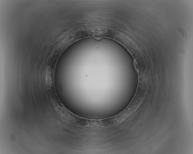 X0000112521058200908171350