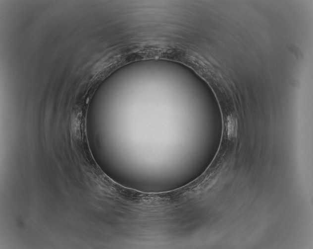 X0000112521059200908171350