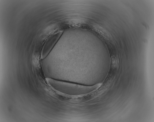 X0000112521060200908171350