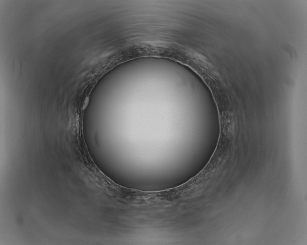 X0000112521061200908171350