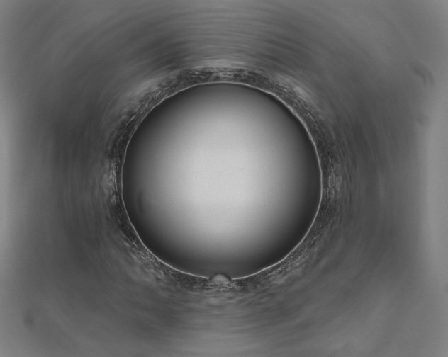 X0000112521062200908171350