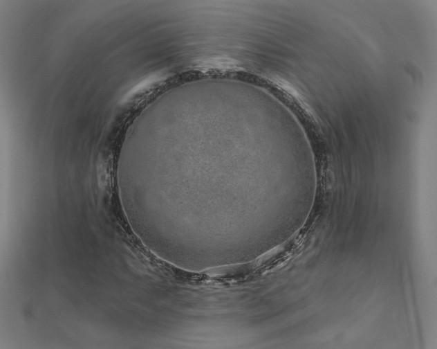 X0000112521063200908171350