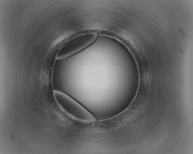 X0000112521064200908171350