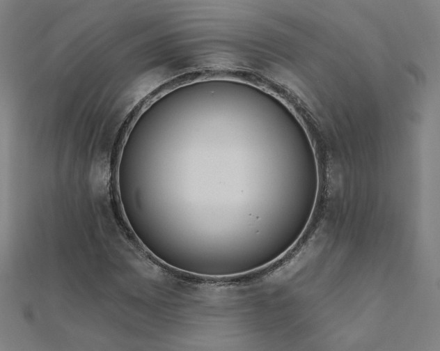 X0000112521065200908171349