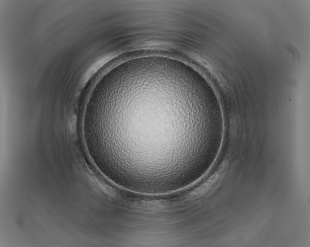 X0000112521066200908171349