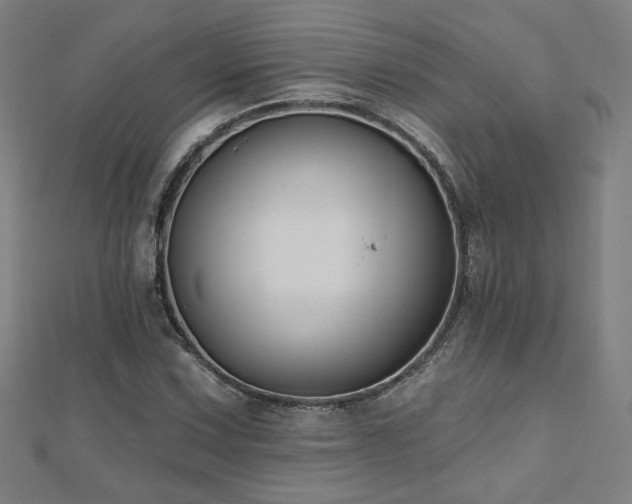 X0000112521067200908171349