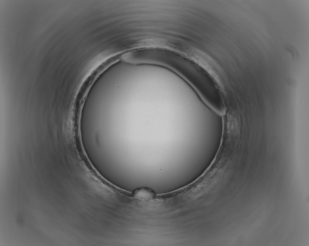 X0000112521068200908171349