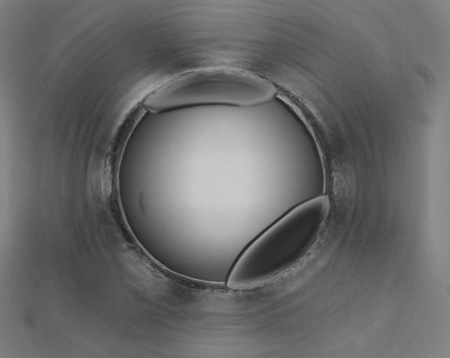 X0000112521069200908171349