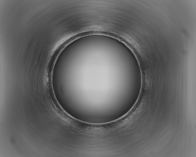 X0000112521070200908171349