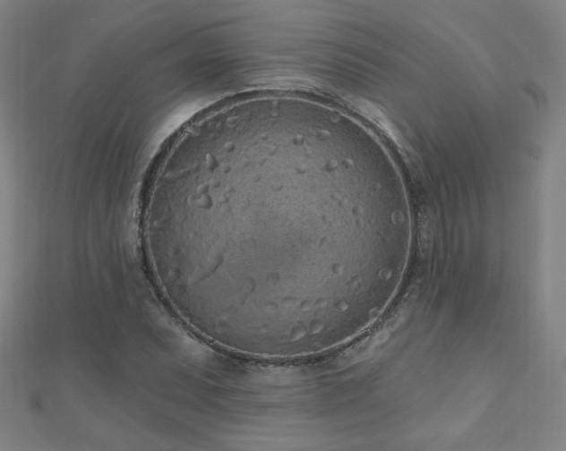 X0000112521071200908171349