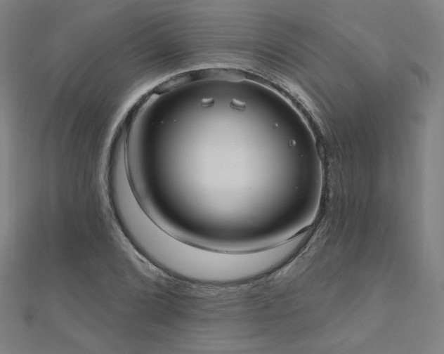 X0000112521072200908171349