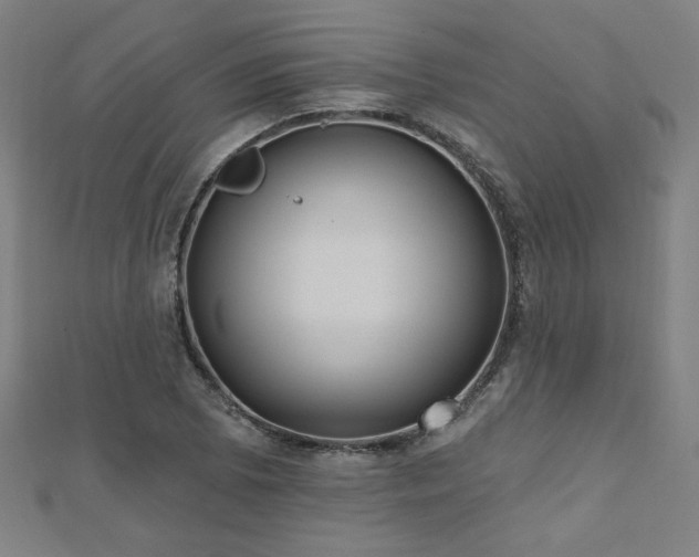 X0000112521073200908171349