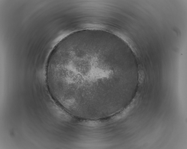 X0000112521074200908171349